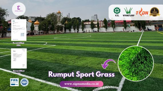 Rumput Sport Grass